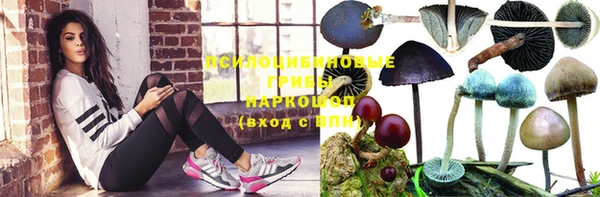 СК Осташков