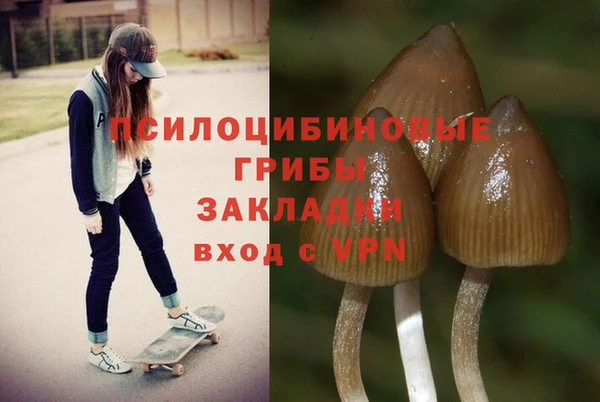 СК Осташков