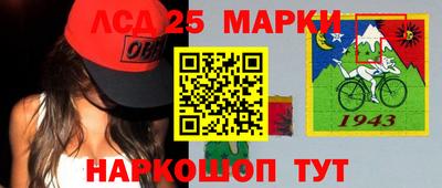 spice Гатчина