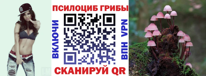 Псилоцибиновые грибы ЛСД  Качканар 
