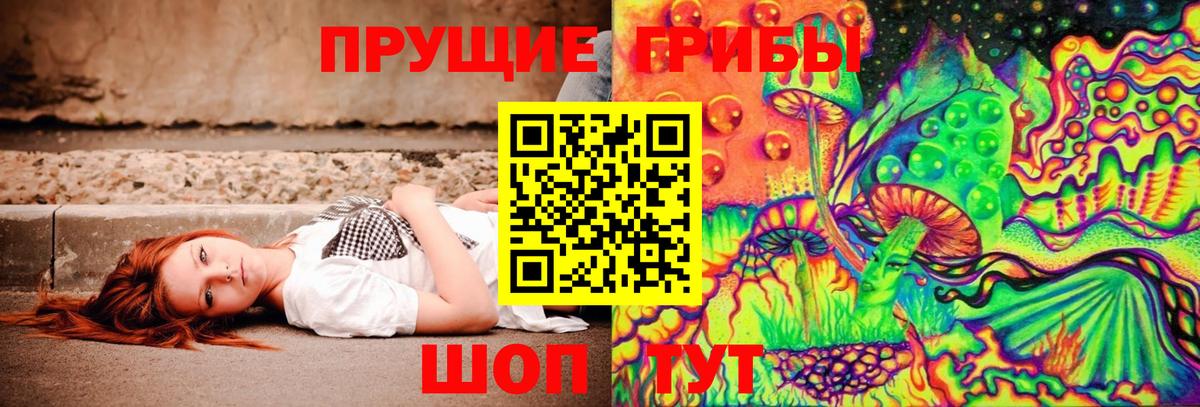 Псилоцибиновые грибы GOLDEN TEACHER Качканар