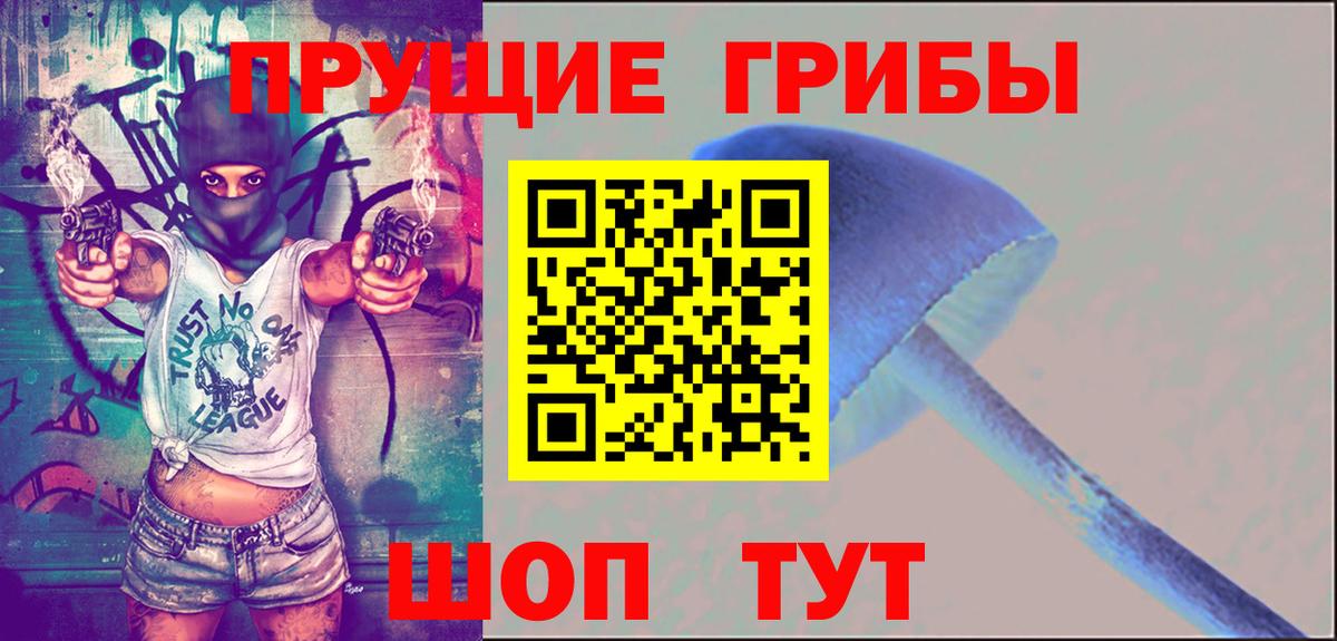 Галлюциногенные грибы мицелий  Качканар  Галлюциногенные грибы прущие грибы 