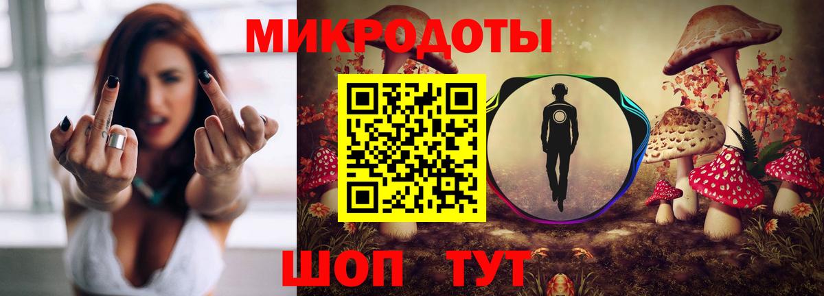 Псилоцибиновые грибы Magic Shrooms Качканар