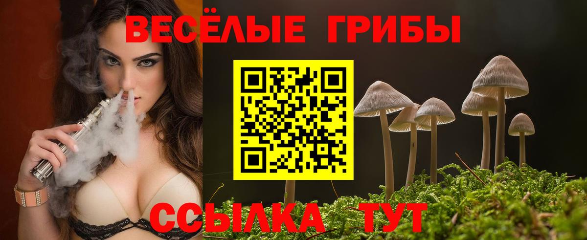 Качканар  Галлюциногенные грибы мицелий  Вход с VPN 